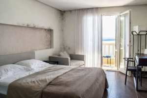 Miegamasis su pelėsiu