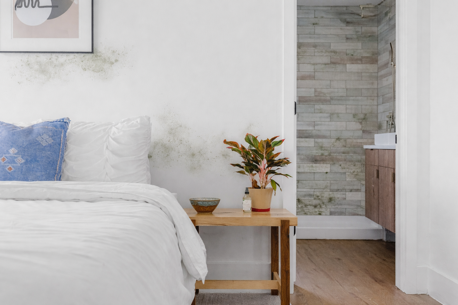 Pelėsis visuose namuose