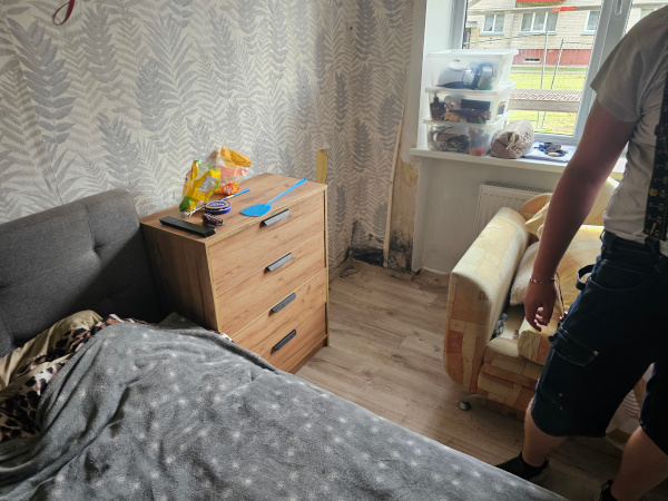 Pelėsio atsiradimo priežastys namuose