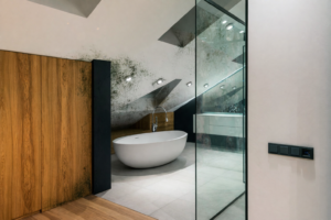 Vonios kambarys pelyja